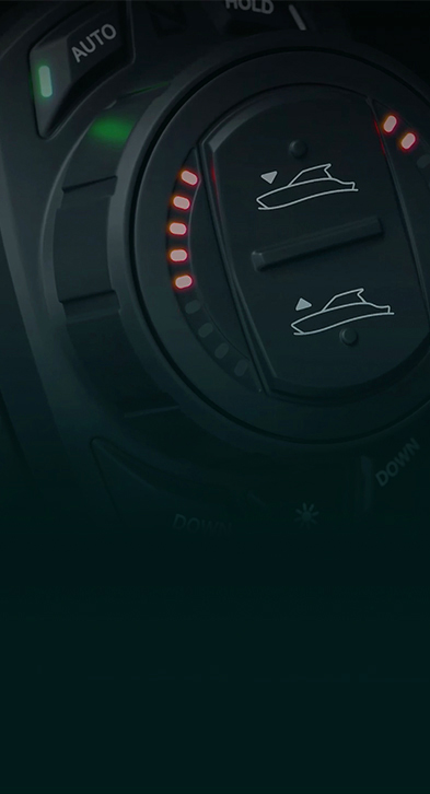 A Lenco trim tab switch.
